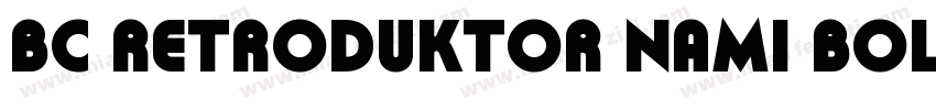 BC Retroduktor NAMI Bold Reversed字体转换